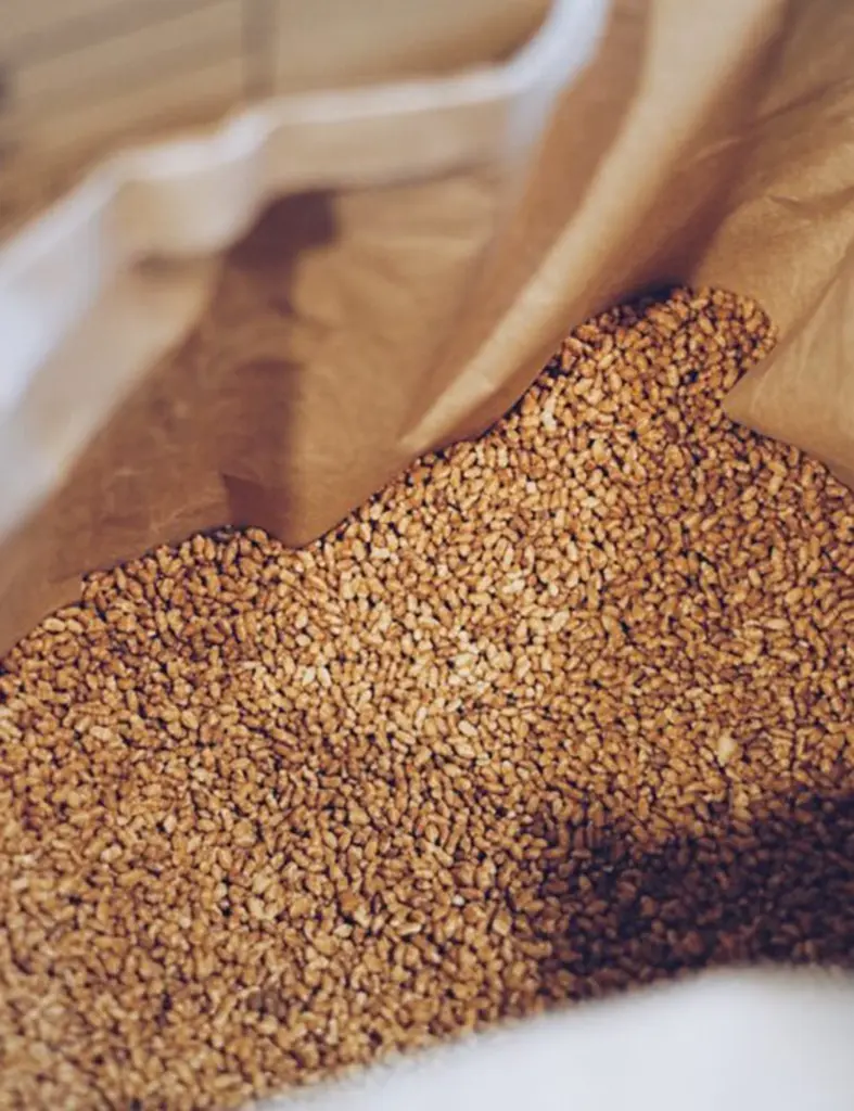 genmai-infusion-sin-cafeina.webp