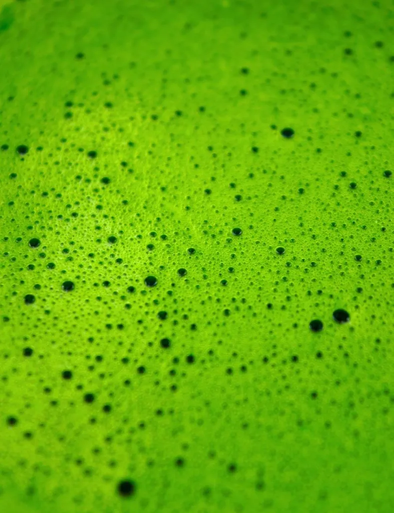 MATCHA OKUMIDORI_BURBUJAS.webp