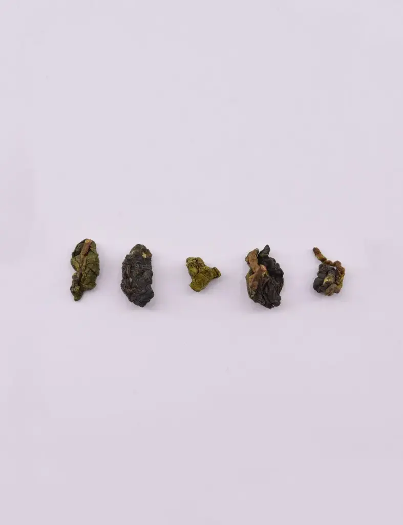 [TSK301WH] DON DING OOLONG