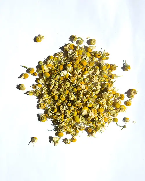 MANZANILLA - 125G