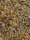 INFUSION DE SAUCO - 125G