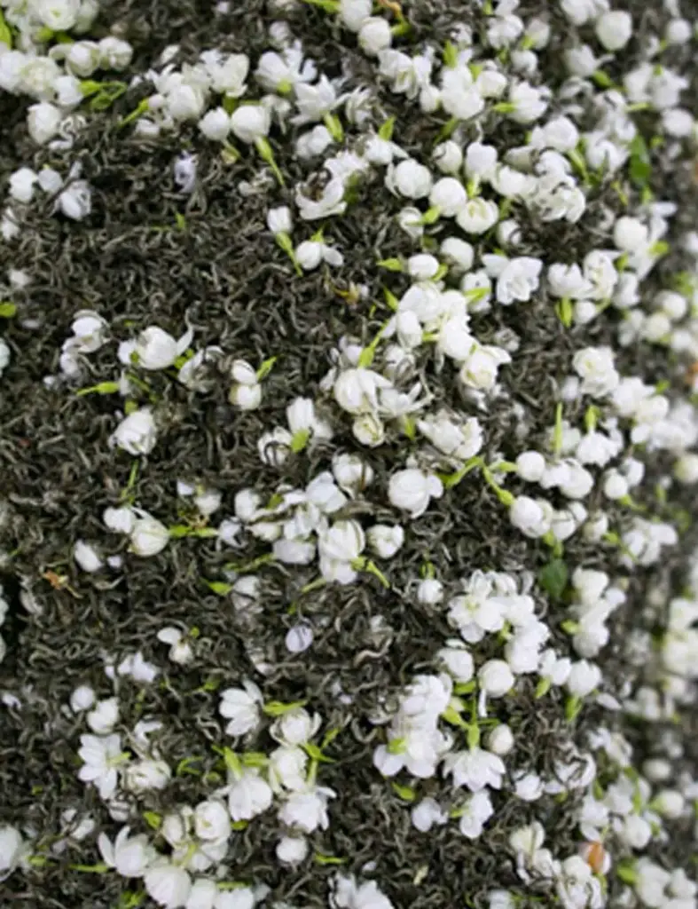 YUNNAN JASMINE GREEN - 250G